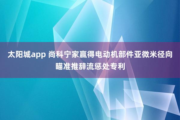 太阳城app 尚科宁家赢得电动机部件亚微米径向瞄准推辞流惩处专利