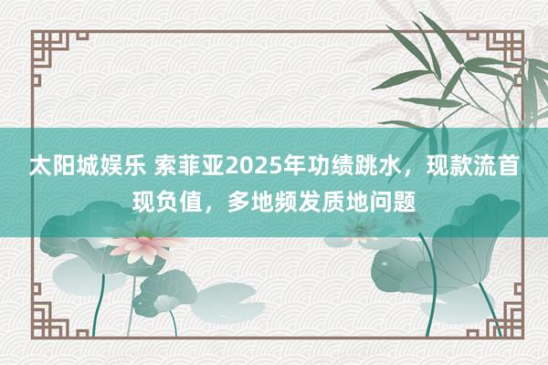 太阳城娱乐 索菲亚2025年功绩跳水，现款流首现负值，多地频发质地问题