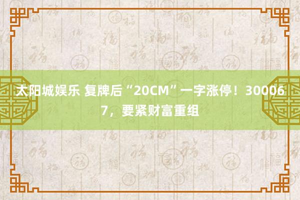 太阳城娱乐 复牌后“20CM”一字涨停！300067，要紧财富重组