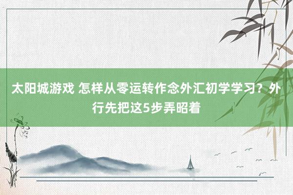 太阳城游戏 怎样从零运转作念外汇初学学习？外行先把这5步弄昭着