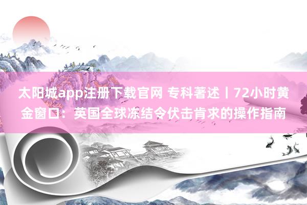 太阳城app注册下载官网 专科著述丨72小时黄金窗口：英国全球冻结令伏击肯求的操作指南