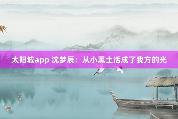 太阳城app 沈梦辰：从小黑土活成了我方的光